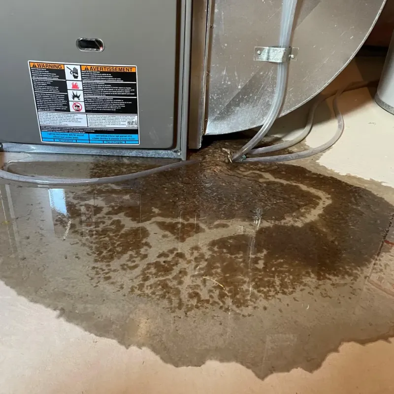 Appliance Leak Cleanup in Lakewood, OH