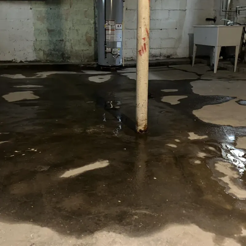 Emergency Water Extraction And Removal in Lakewood, OH